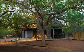 Bushveld Jewel - Close To Kruger